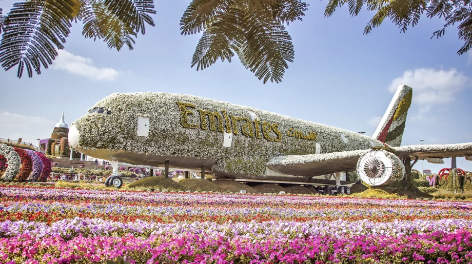 Dubai Miracle Garden