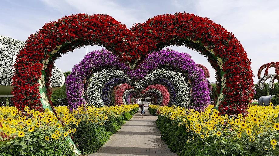 2. Цветочный сад Dubai Miracle Garden