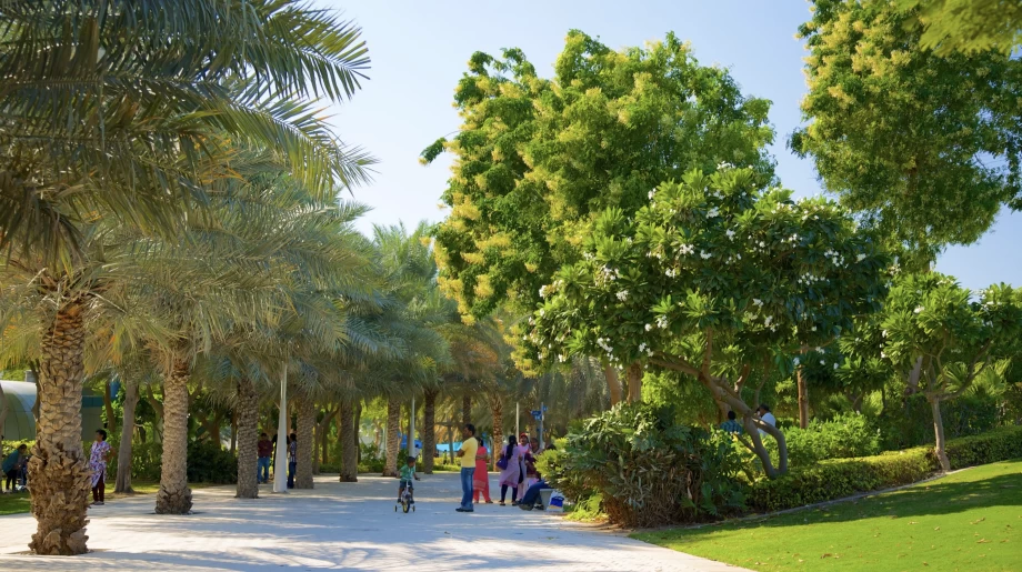 9. Zabeel Park – urban jungle with futuristic Dubai vibes