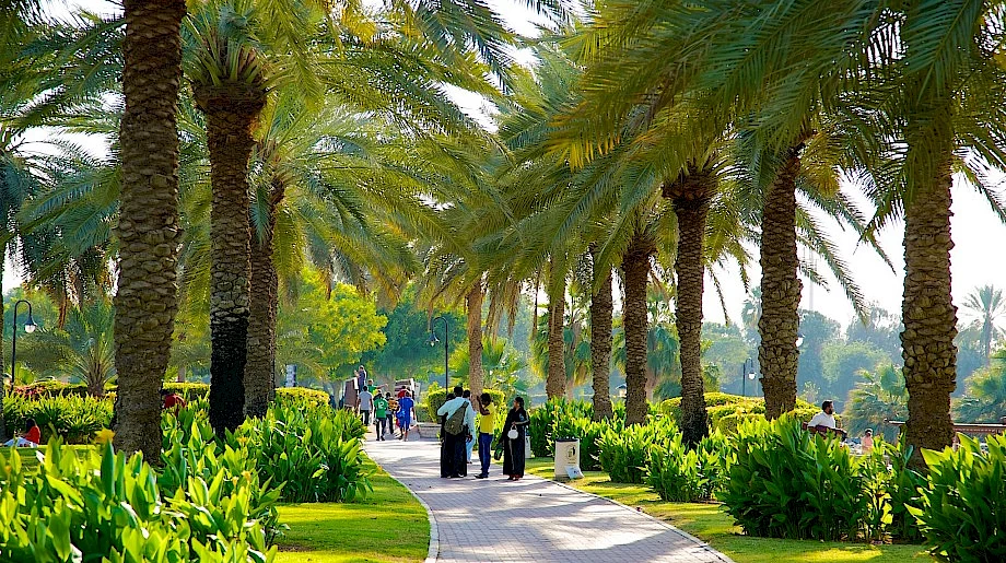8. Al Safa Park – a classic Dubai green escape
