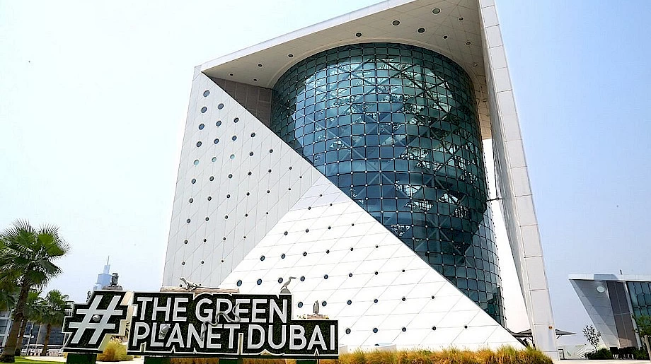9. The Green Planet