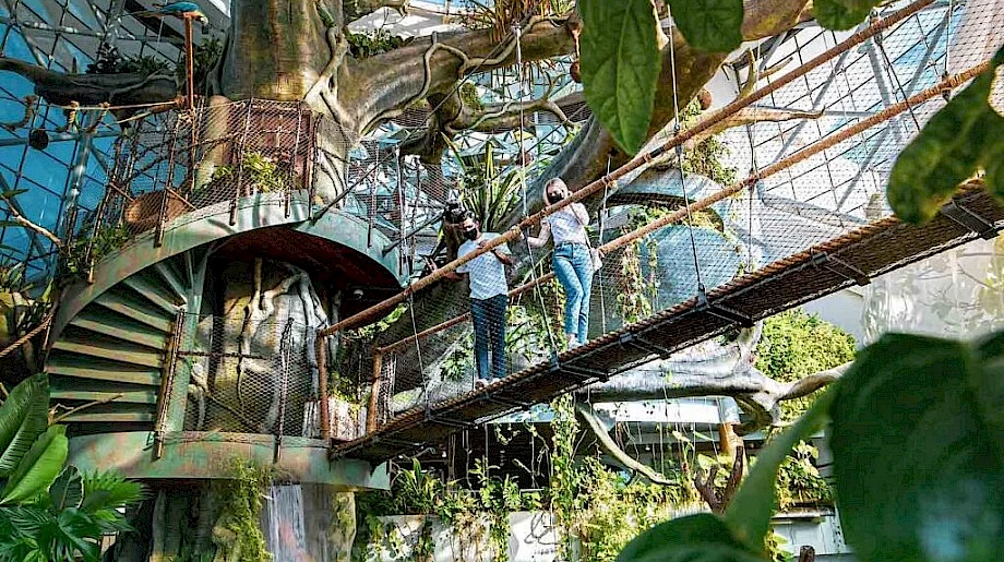 7. Green Planet