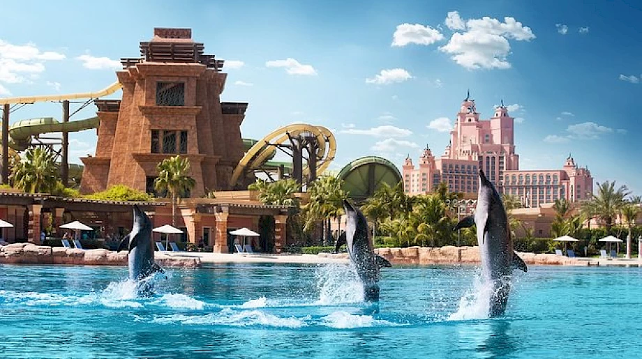5. Поплавать с дельфинами в Atlantis