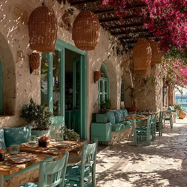 Greek Restaurants in Dubai: Mediterranean Cuisine and Atmosphere