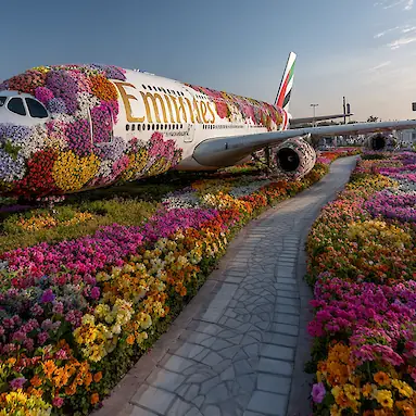 Dubai Miracle Garden Flower Park: Tickets, Opening Hours, and Photos