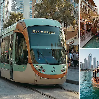 How to Use the Nol Card: A Complete Guide for Beginners