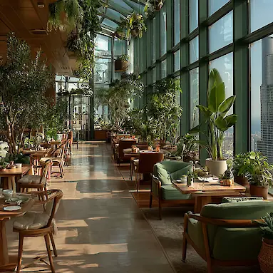 Еда в Дубае летом: что заказывать в жару и где комфортно есть при +40