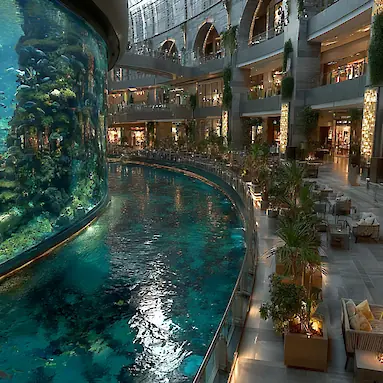 Лучшие моллы Дубая для туриста: куда идти, если мало времени